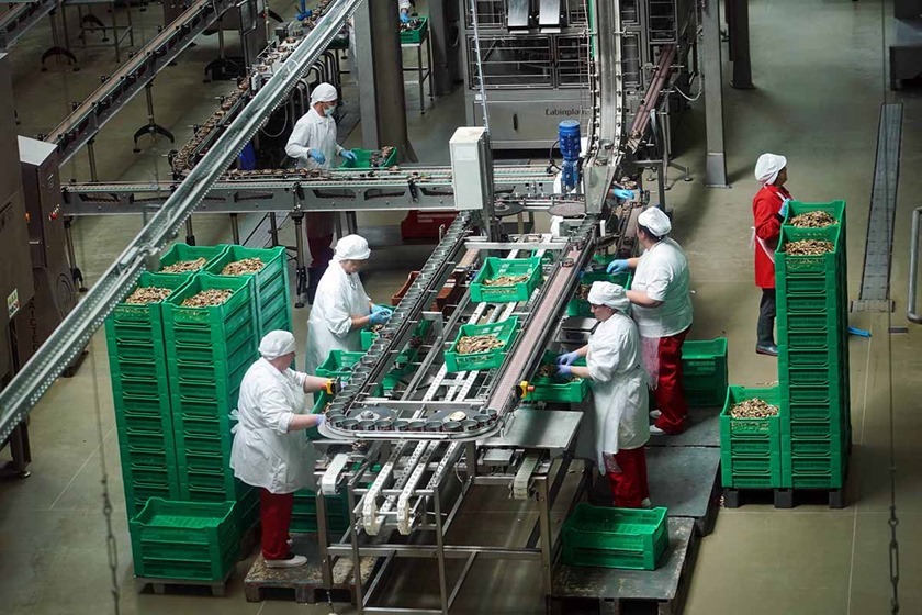 В Калининградской области ищут покупателей на бывший завод по выпуску рыбных консервов