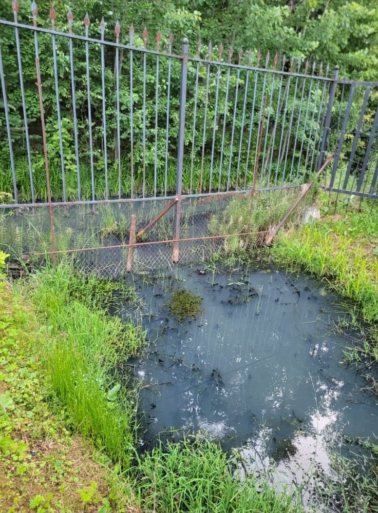 В Янино обнаружен слив нечистот в придорожную канаву
