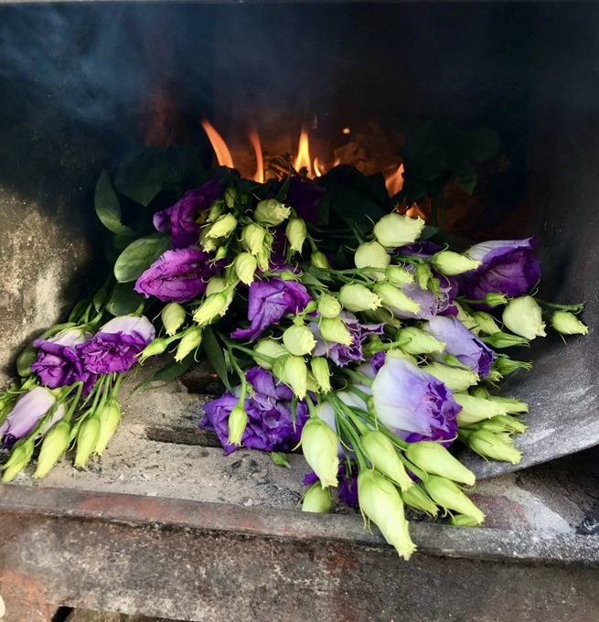 В Пскове сожгут заражённые пупариями цветы