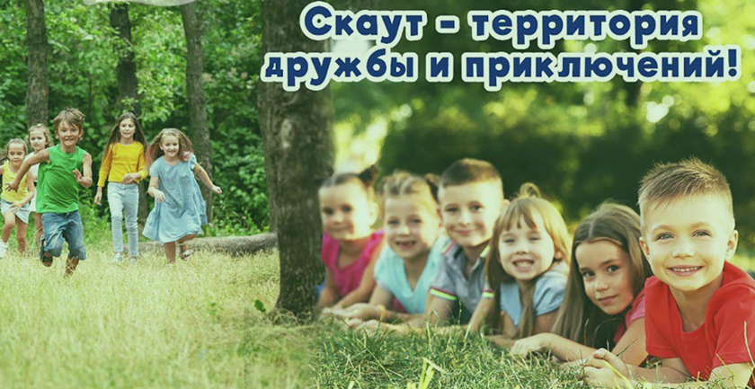 Прокуратура через суд требует прекратить деятельность частного детского лагеря в Калининграде 