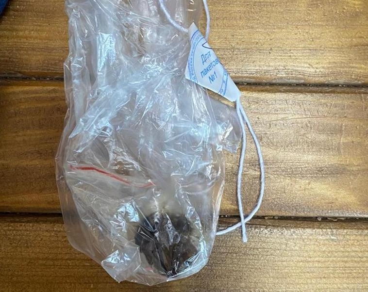 В калининградской колонии предотвратили попытку доставки наркотиков