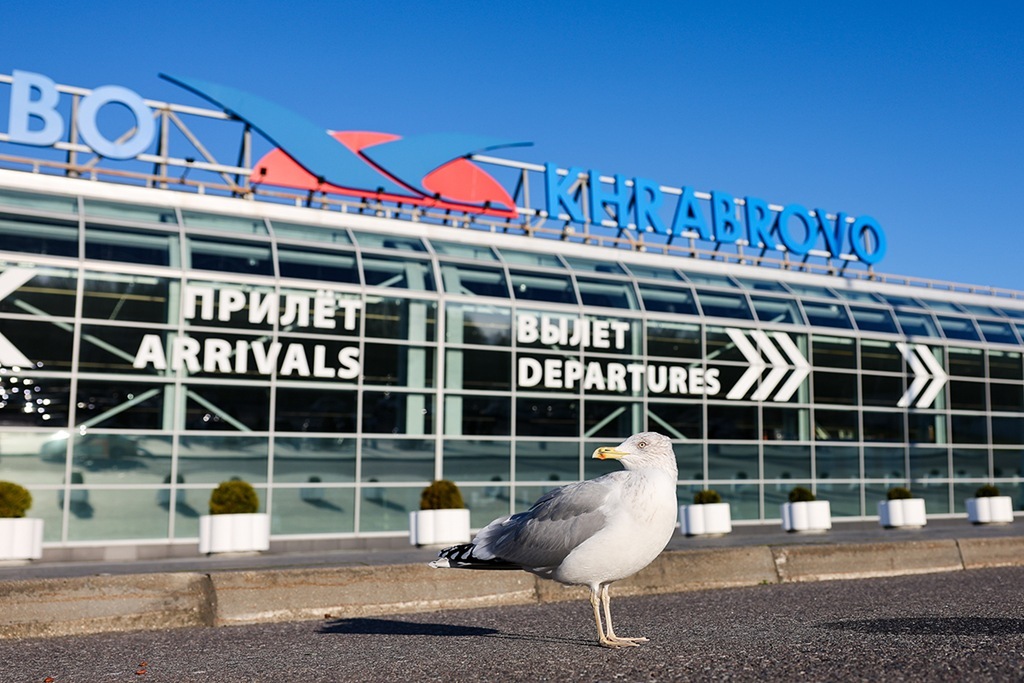 Пьяный пассажир задержан в калининградском аэропорту «Храброво»