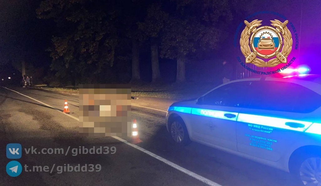 На трассе «Калининград-Крылово» водитель сбил пешехода и скрылся На трассе «Калининград-Крылово» водитель сбил пешехода и скрылся