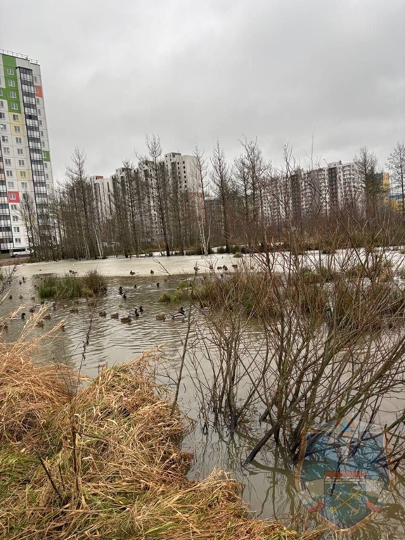Во Всеволожске спасатели проверили разлив неизвестной жидкости