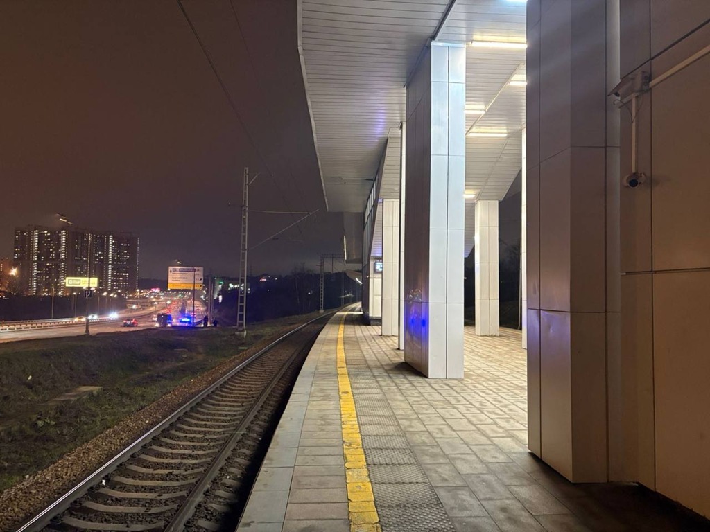 На станции Волоколамская поезд утащил пассажира под колёса