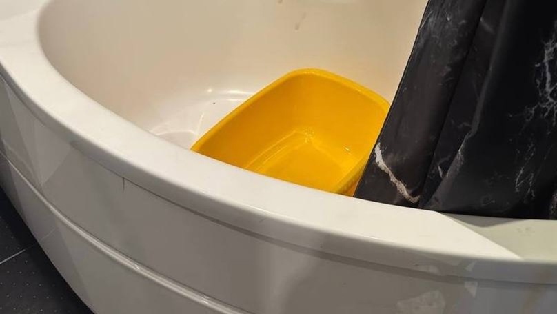 В Петербурге арестовали мать, обвиняемую в убийстве новорождённого В Петербурге арестовали мать, обвиняемую в убийстве новорождённого