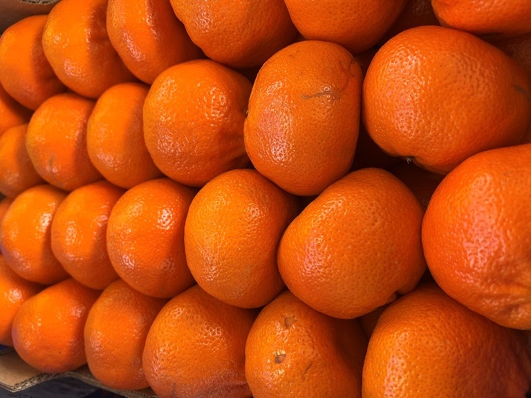В Петербург с начала года ввезено 126,7 тыс. тонн мандаринов &mdash; на 28% больше, чем годом ранее