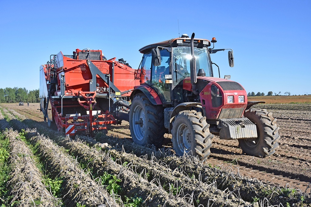 Калининградская область вошла в топ-10 регионов России по расширению посевных площадей