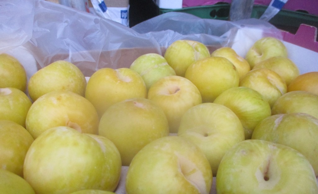 Чилийские нектарины с опасной гнилью задержали в петербургском порту Чилийские нектарины с опасной гнилью задержали в петербургском порту