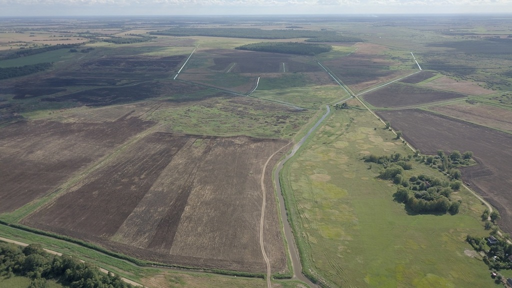 В Ленобласти дроны нашли 700 гектаров заросшей сорняками сельхозземли