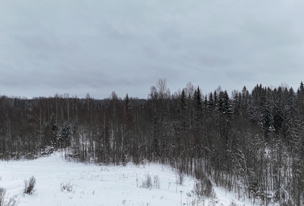 Дроны Россельхознадзора нашли в Псковской области больше 600 гектаров заросшей земли Дроны Россельхознадзора нашли в Псковской области больше 600 гектаров заросшей земли