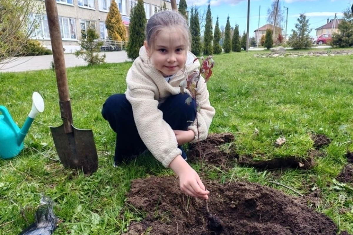 Фото: пресс-служба правительства Калининградской области